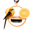 Oriole Hanging Bird Feeder with Clear Bowl, Orange